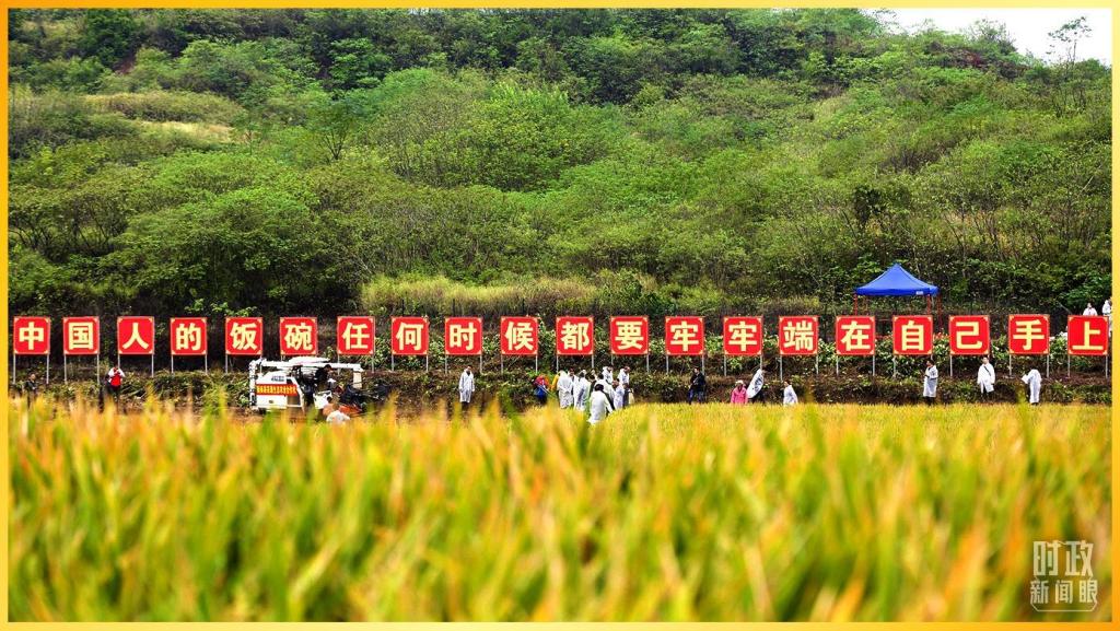 qy千亿球友会