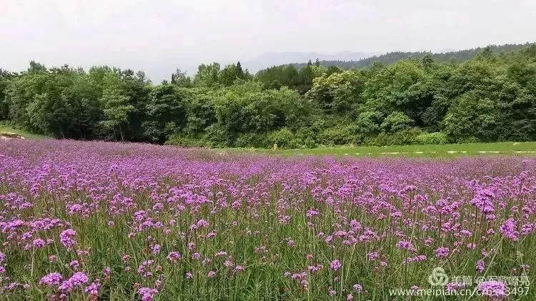 qy千亿球友会
